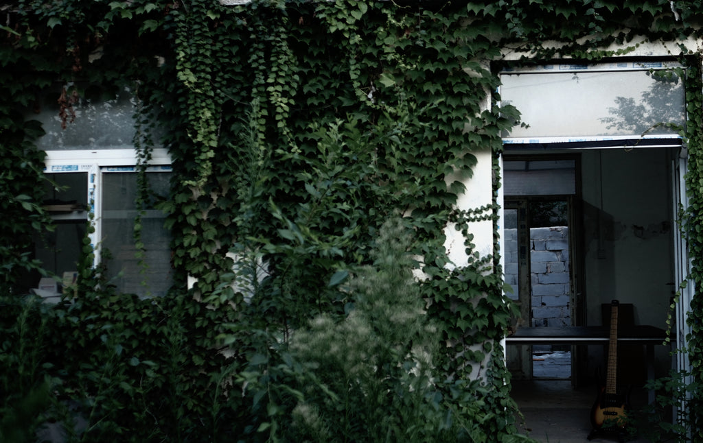 Baboomin Custom shop