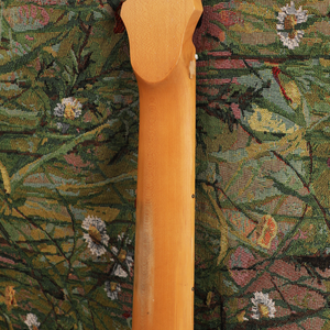 Aged Rosa California（Custom Shop）
